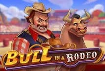 Bull in a Rodeo